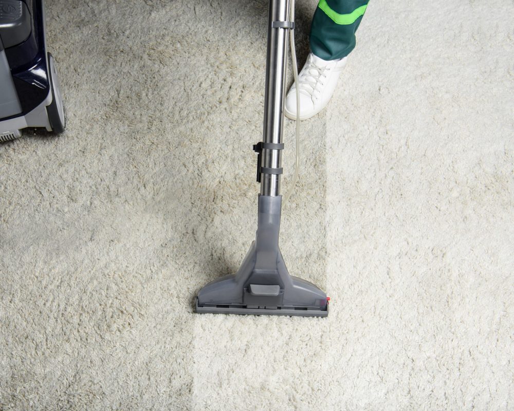 high angle view of person cleaning white carpet with professional vacuum cleaner