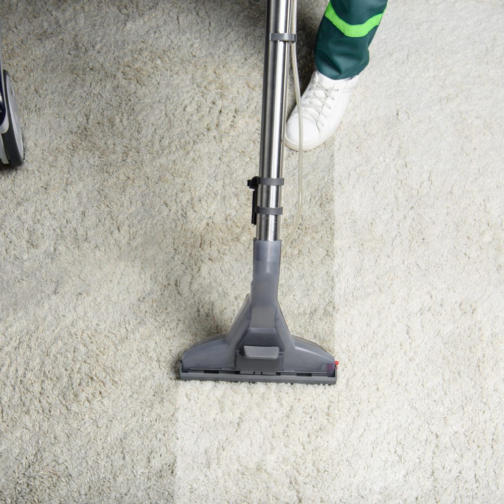 high angle view of person cleaning white carpet with professional vacuum cleaner